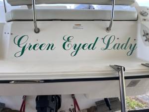 1997 Wellcraft Excel 26 Boat Lettering from Daniel M, TX